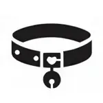 Без названия (12).webp