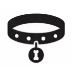 Без названия (20).webp