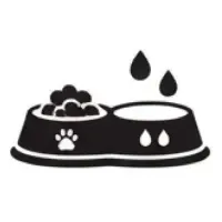 Без названия (28).webp