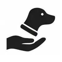 Без названия (30).webp