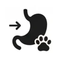 Без названия (50).webp