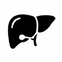 Без названия (52).webp