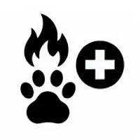 Без названия (54).webp