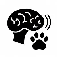 Без названия (55).webp