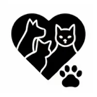 Без названия (58).webp