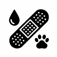 Без названия (59).webp