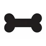 Без названия (5).webp