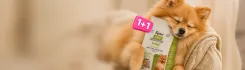 frame_2131329275.webp